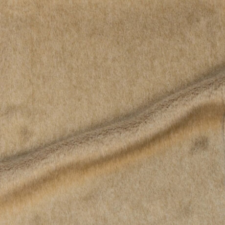 Zephyr Fawn