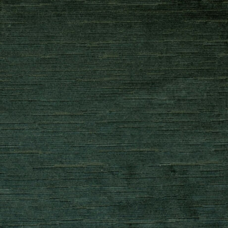 Aurora Spruce